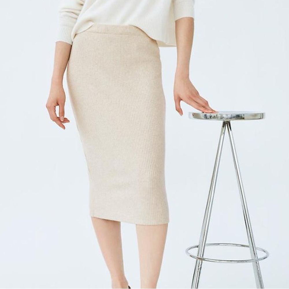 Aritzia Babaton Traverse Skirt